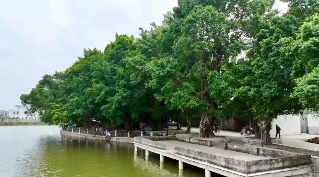 锅看这座城市的服务智慧麻将胡了从汕头牛肉