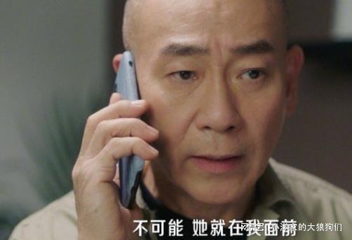 结局：丁洛风第九人格是“陈慧珊”何妙雪殒命PG电子游戏麻将胡了《刑侦12》25集大(图11)