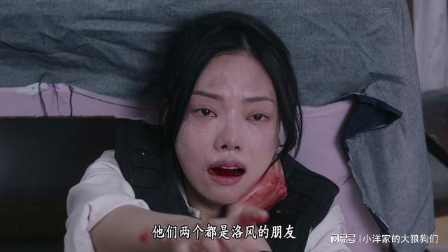 结局：丁洛风第九人格是“陈慧珊”何妙雪殒命PG电子游戏麻将胡了《刑侦12》25集大(图34)